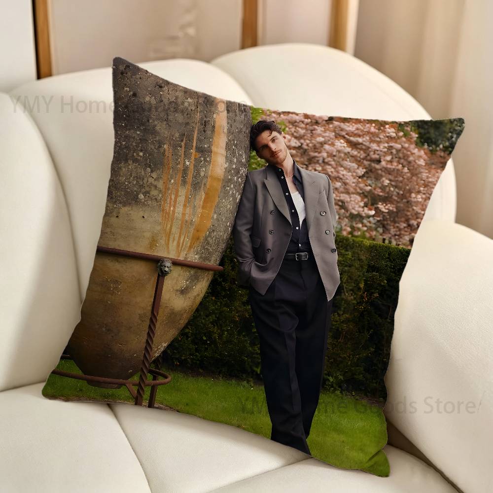 Federa per Cuscino Decorativa  - Home Textiles Ireland recensione e prezzo
